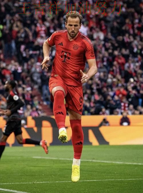 凯恩单场高分成为全场焦点 进攻效率提升成为亮点 凯恩单场高分成为全场焦点 进攻效率提升成为亮点